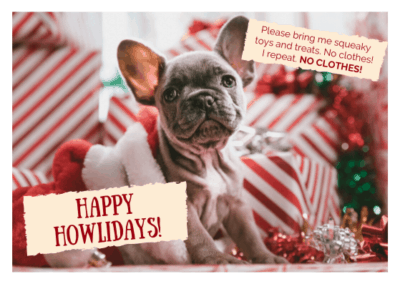 80 Funny Witty Christmas Card Sayings For Holiday 2020 - 365Canvas Blog