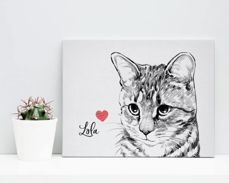 personal gifts for cat lovers